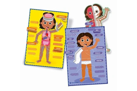 Le Corps Humain Montessori – Clementoni 4-6 ans
