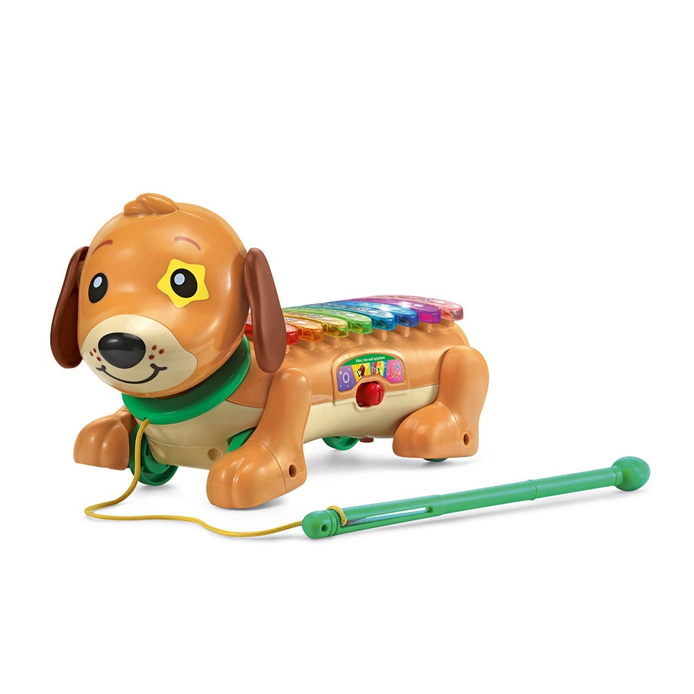 Elton, mon rouli xylophone -VTech