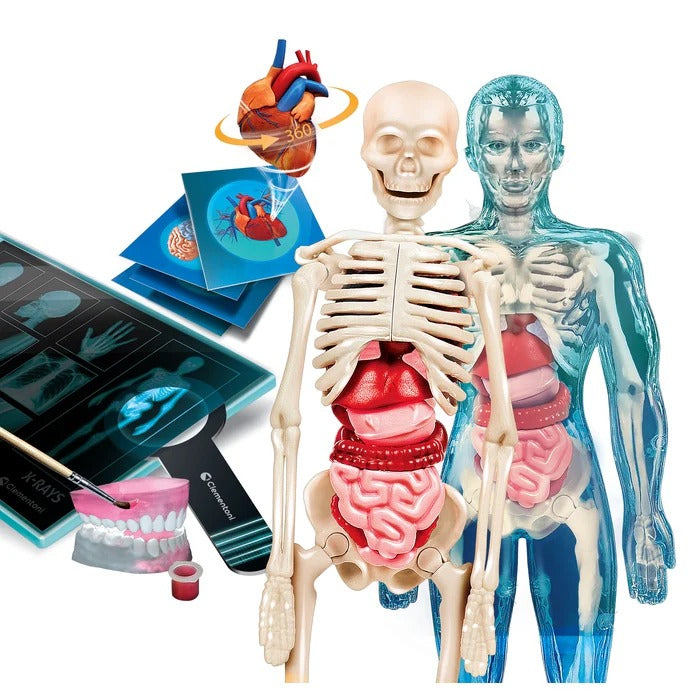 L'ANATOMIE- CLEMENTONI