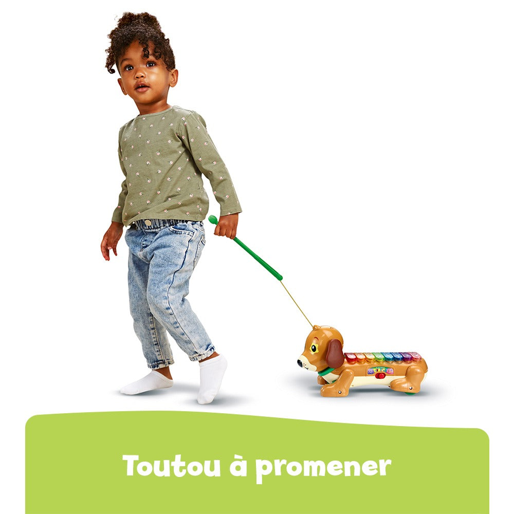 Elton, mon rouli xylophone -VTech