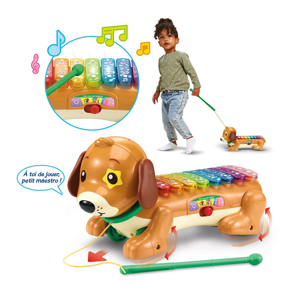 Elton, mon rouli xylophone -VTech