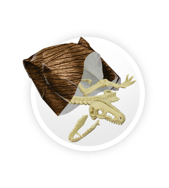 DINO SURPRISE BOX – BUKI