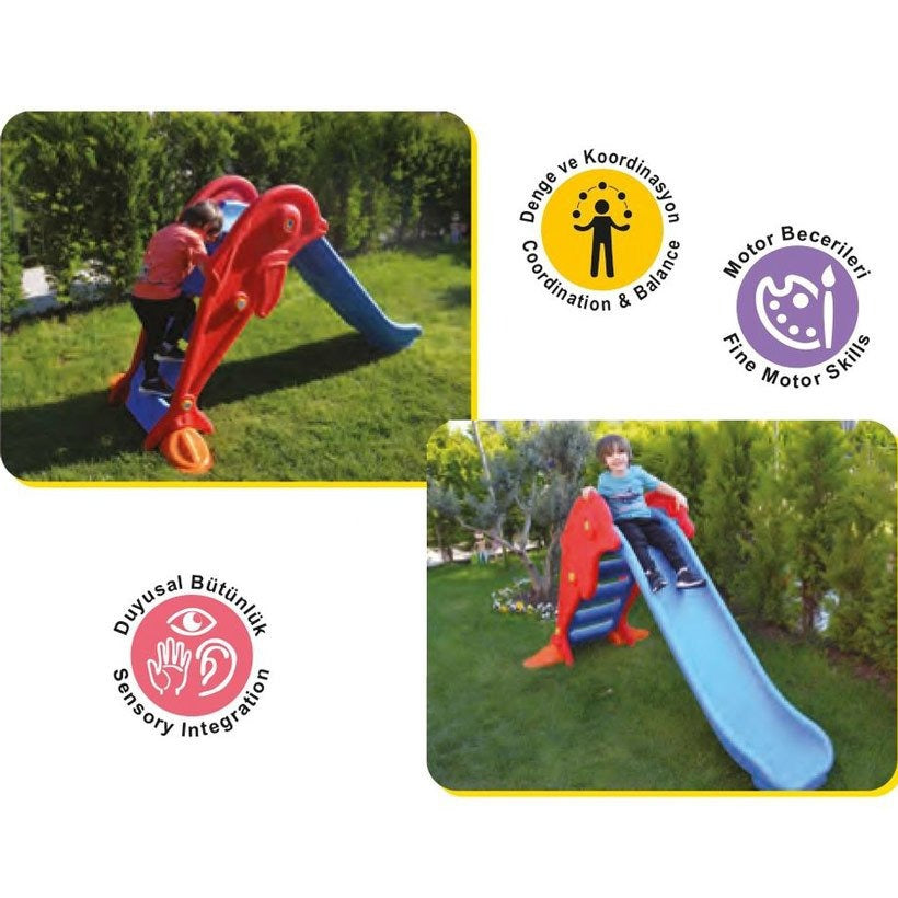 Toboggan Dauphins KING KIDS